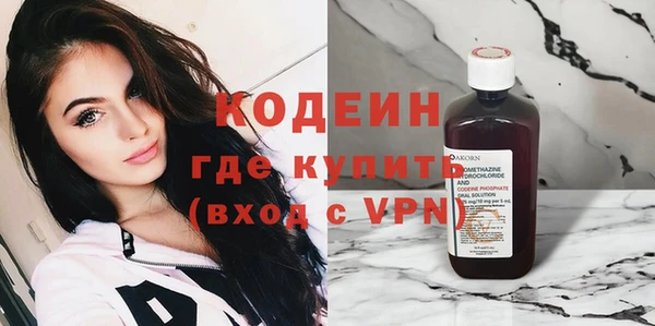 гидра Покачи