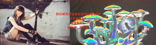 jwh Беломорск