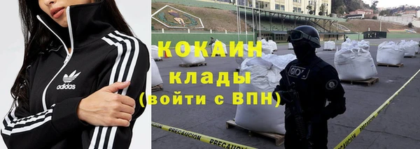 apvp Осташков