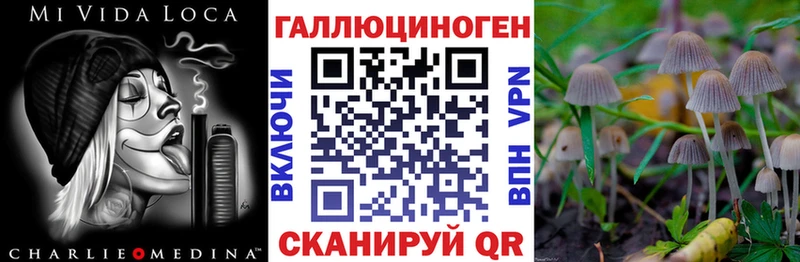 гидра   Серафимович  Галлюциногенные грибы прущие грибы  цены  
